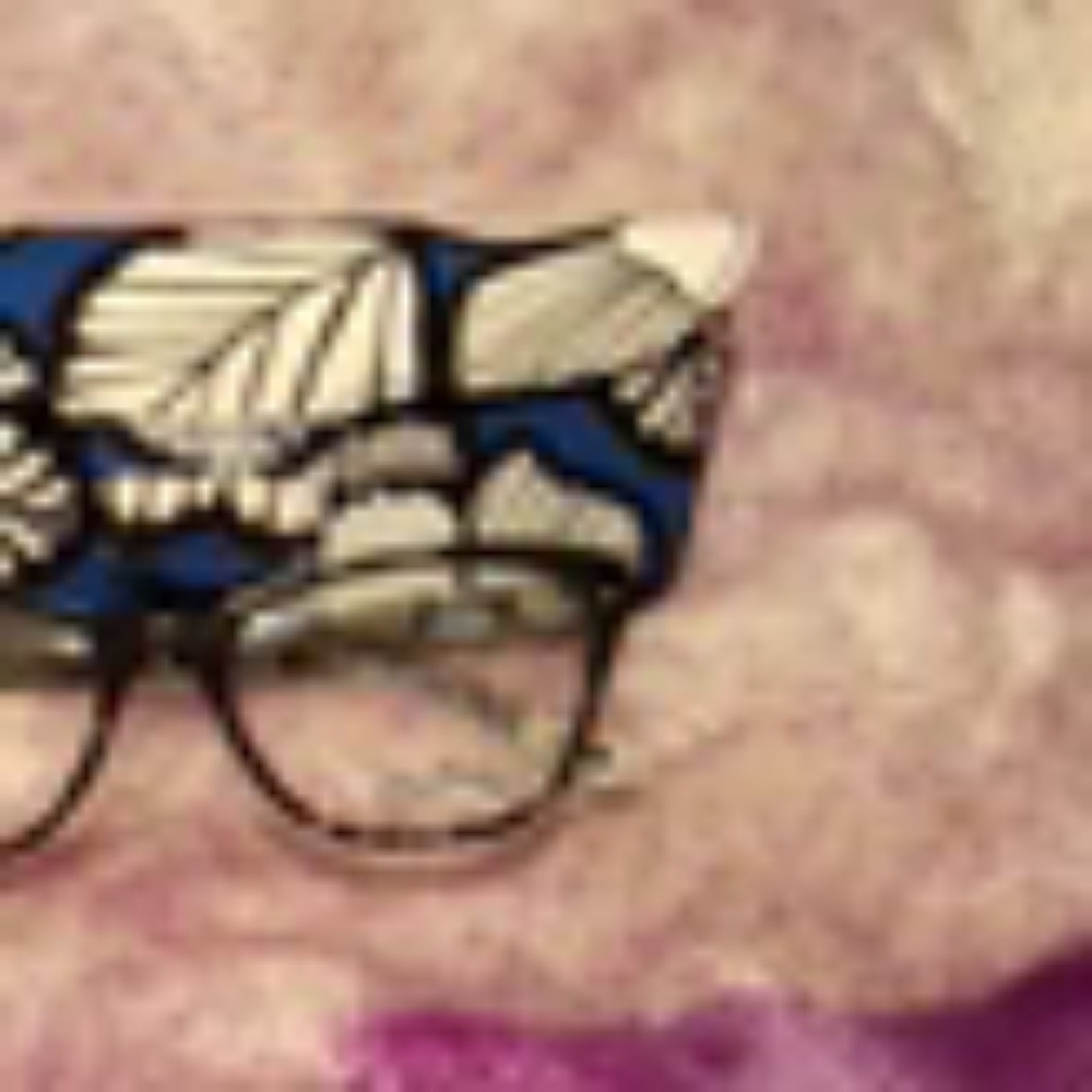 Woman's Vera Bradley glasses